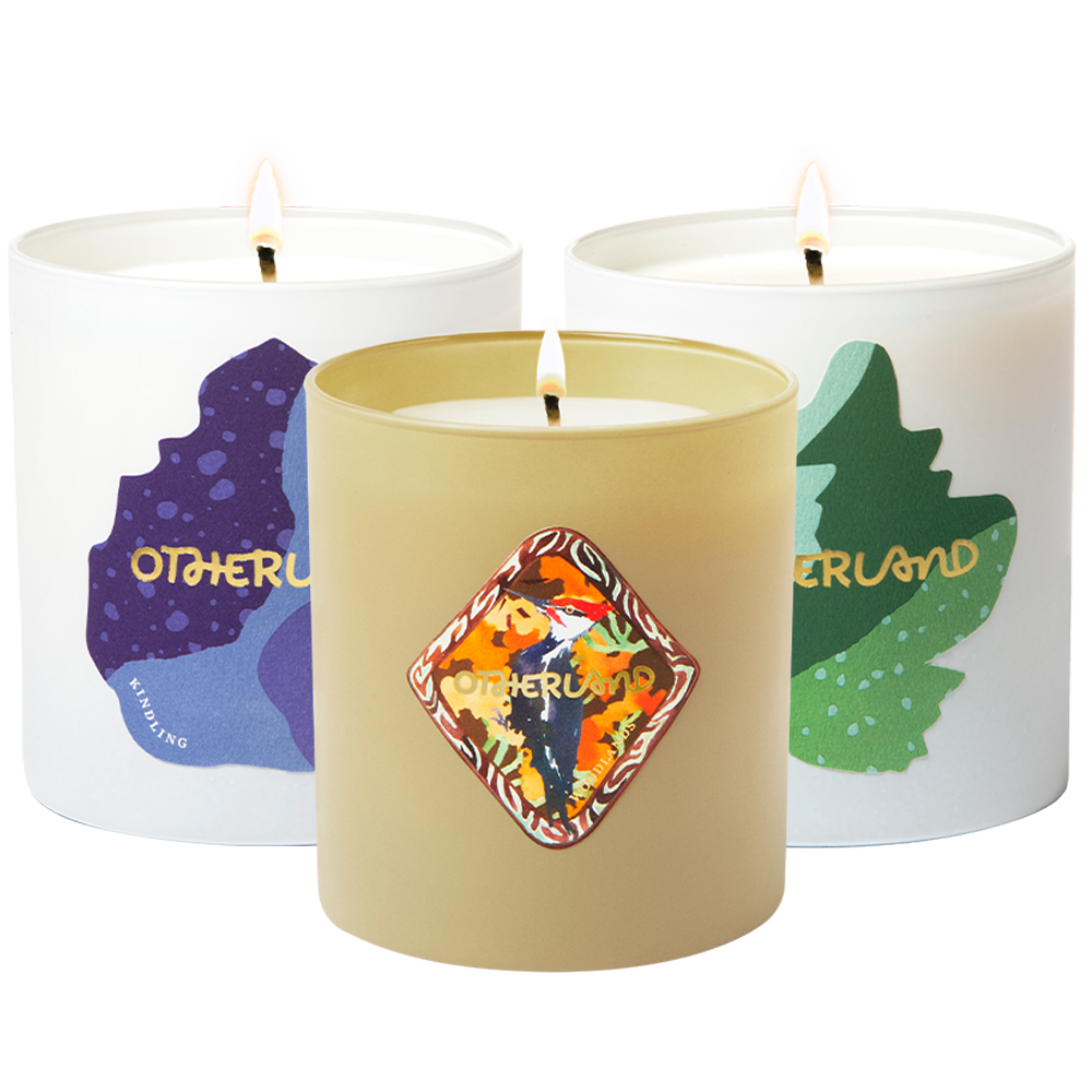 Capricorn Bundle