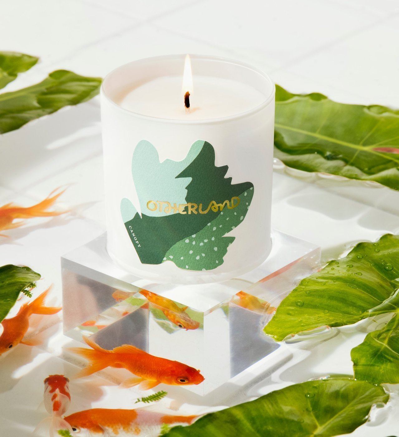 Candles - Canopy